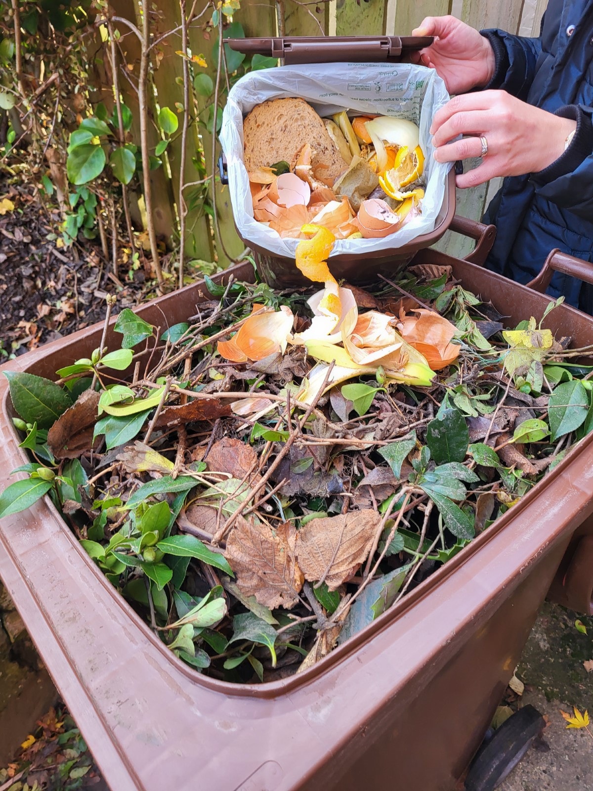 Cover photo caddy tipping into brown bin option1 full bin profile: Food waste being emptied from kitchen caddy into brown bin along with garden waste