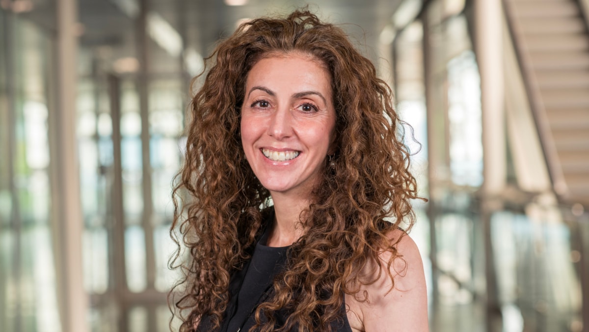 Managing Director of West Coast Partnership Development awarded OBE