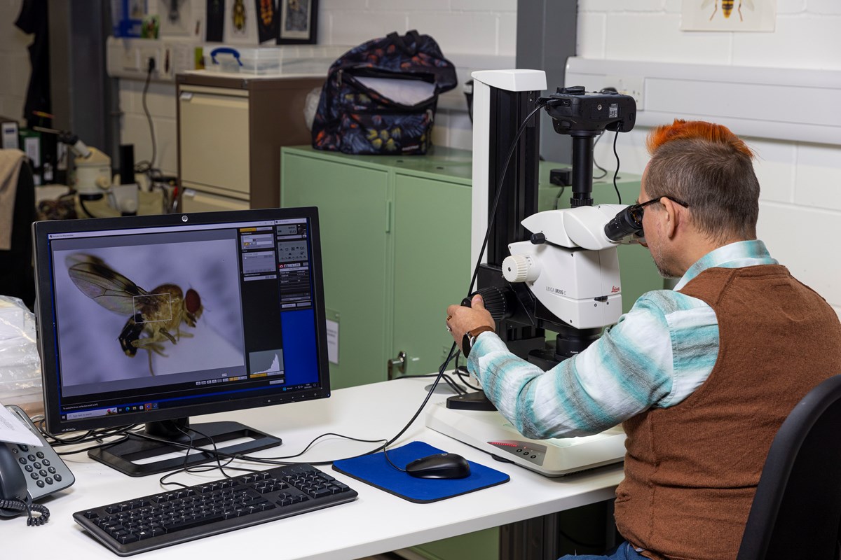 Natural Sciences at the National Museums Collection Centre © Duncan McGlynn-10