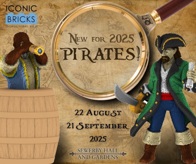 Pirates - Iconic Bricks-2