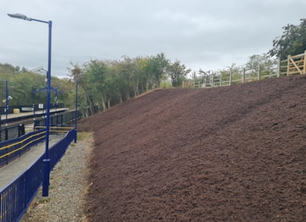 Yarm biodiversity project-5