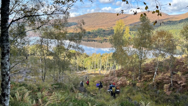 Nature projects share £5 million cash boost: Planting finished at Loch Arkaig credit Royal Botanic Garden Edinburgh