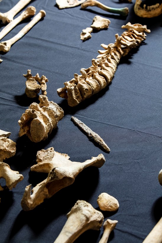 A skeleton, aged 17-24, found with a iron spear point imbedded in his spine, uncovered during HS2's archaeological excavations of an Anglo Saxon burial ground in Wendover: A possible male skeleton, aged 17-24, found with a iron spear point imbedded into the thoracic vertebra, excavated during HS2 archaeological work in Wendover.

Tags: Anglo Saxon, Archaeology, Grave goods, History, Heritage, Wendover, Buckinghamshire