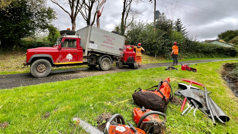 Lampeter Tree Services 7