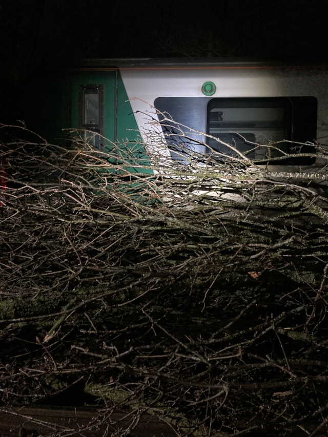 Birmingham disruption 3: Birmingham disruption 3