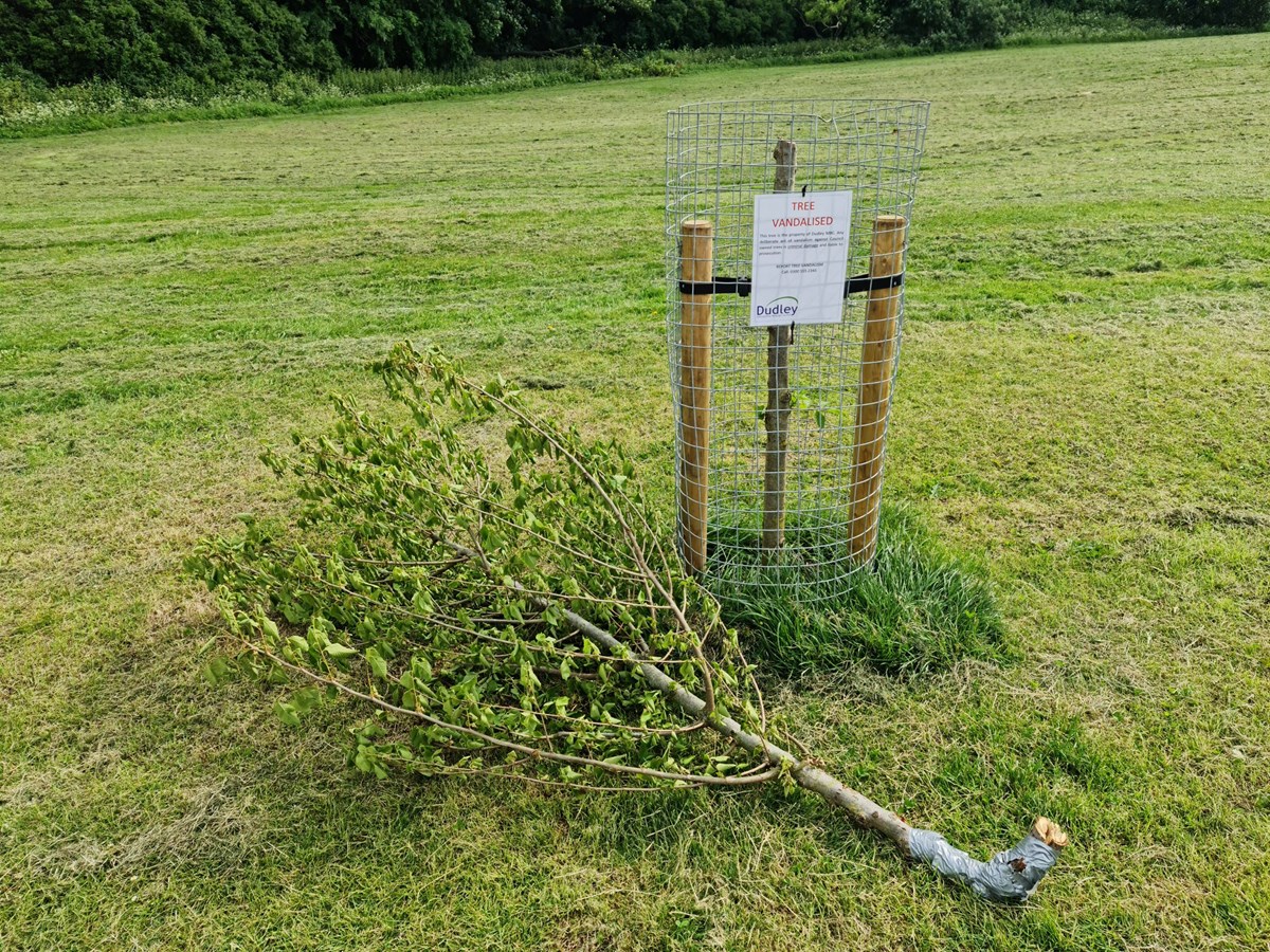 Grange Park Tree Vandalism