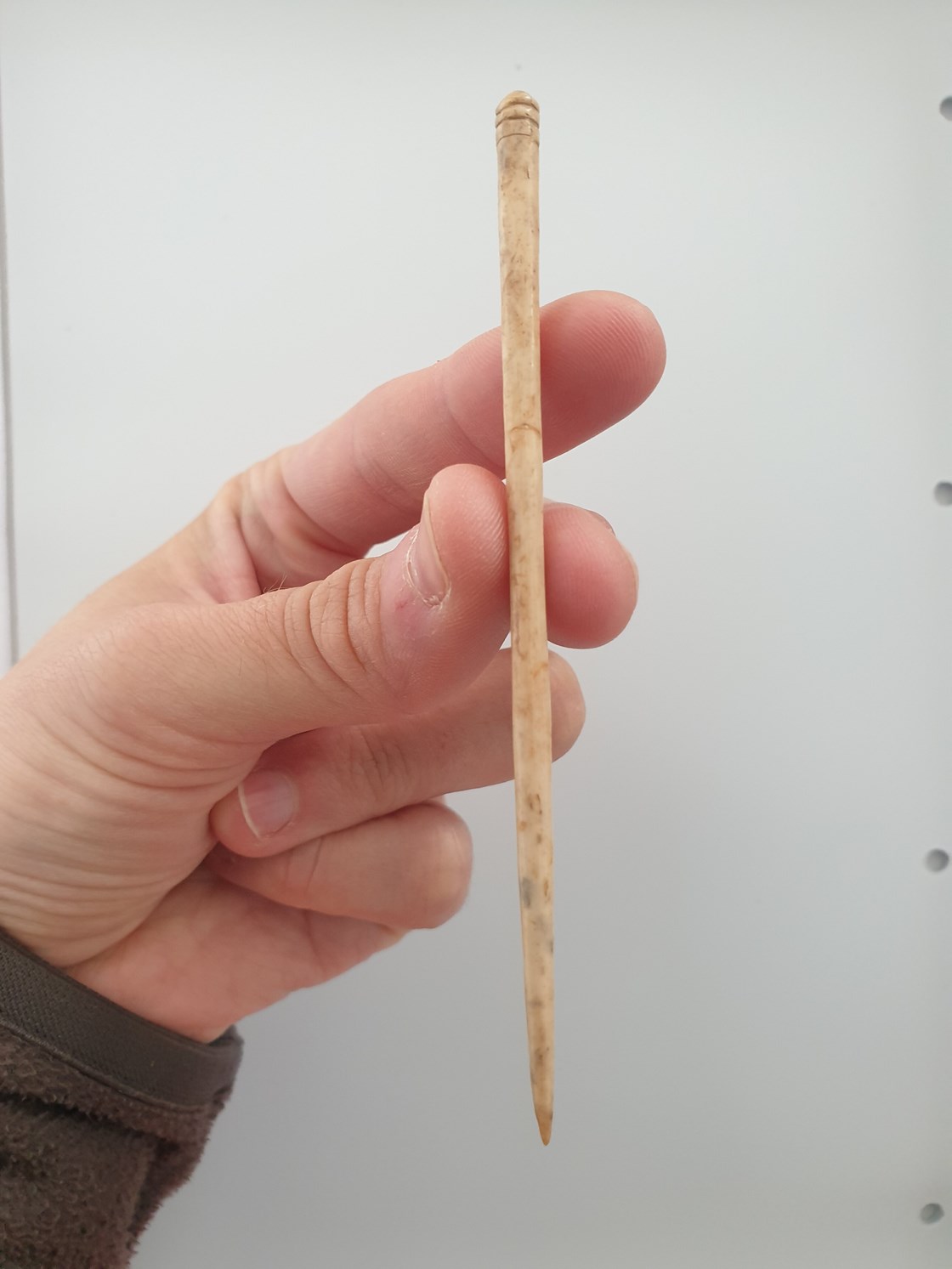 Roman Bone Pin uncovered during archaeological excavations at Fleet Marston, near Aylesbury, Buckinghamshire.: Roman Bone Pin uncovered during archaeological excavations at Fleet Marston, near Aylesbury, Buckinghamshire. Excavations took place during 2021.

Tags: Archaeology, Heritage, Roman artefacts, History, Excavations