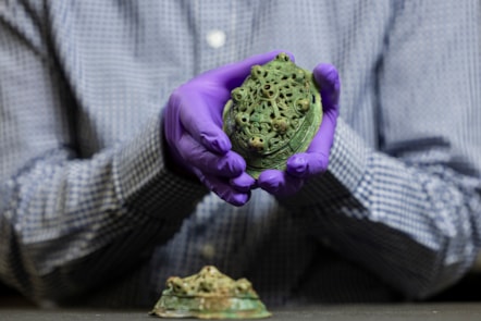 Assistant Curator Craig Angus with Viking brooches. Photo © Duncan McGlynn (1)
