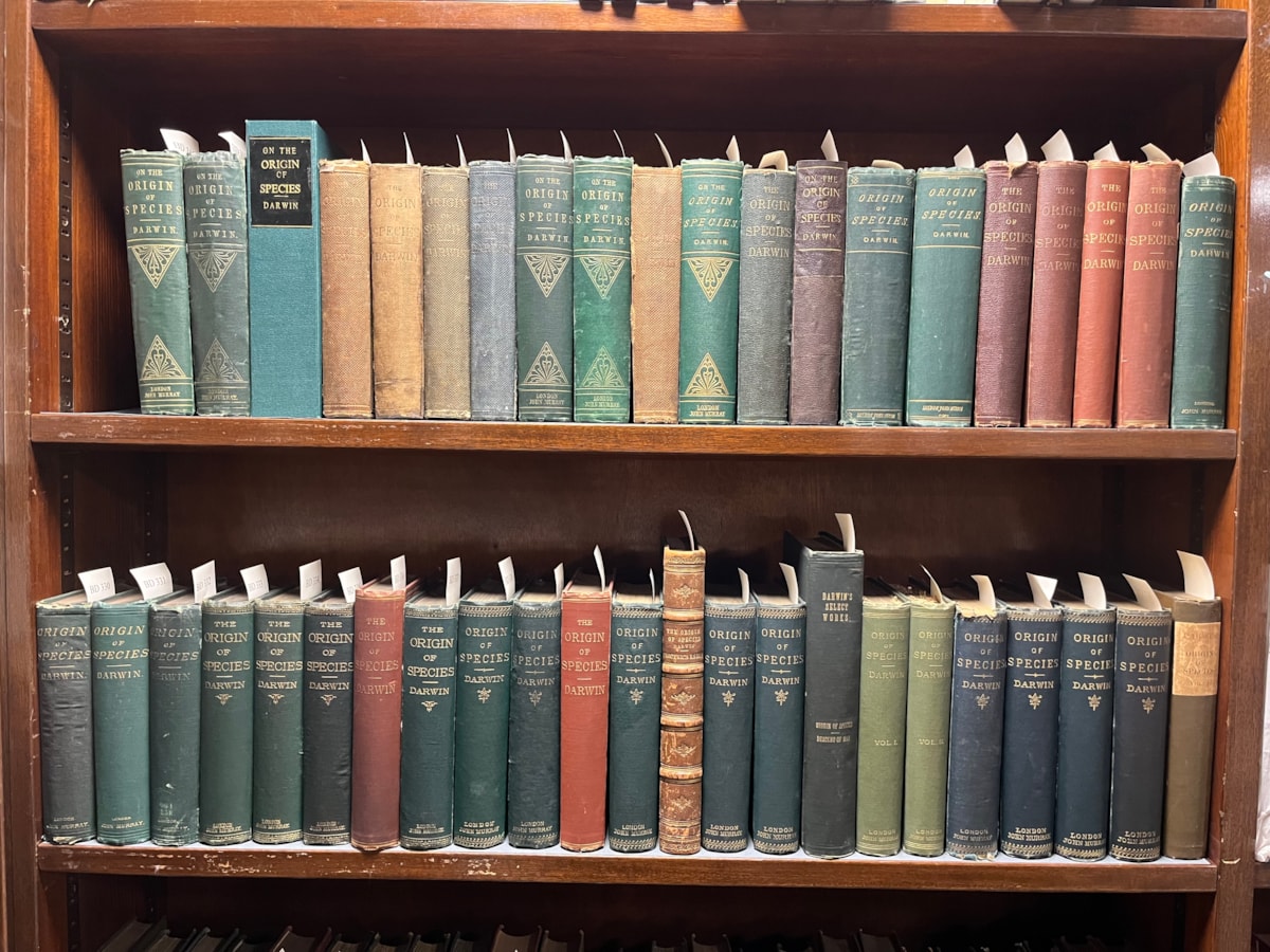 Image 4. Multiple editions and copies of Darwin’s On the Origin of Species preserved at the Natural History Museum, London