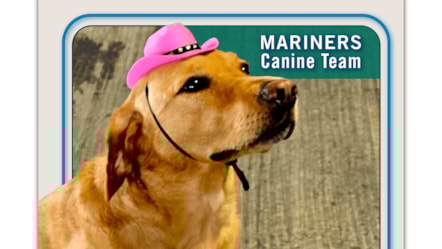 1740256642 Mariners Canine Baseball Cards-05