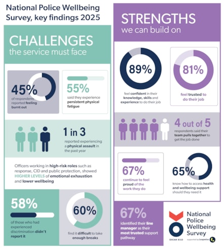 Infographic Survey key findings one page