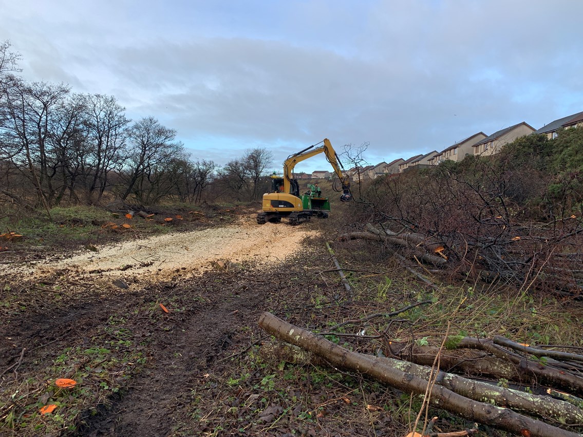 devegetation on Levenmouth project