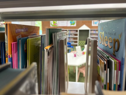 Books at Elgin library 2
