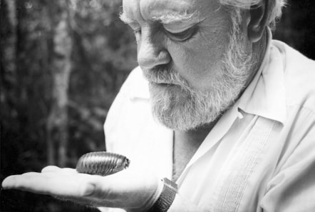 Gerald Durrell with a Giant Pill Millepede from Madagascar, 1981, Lee Durrell. Photo © Durrell Wildlife Conservation Trust