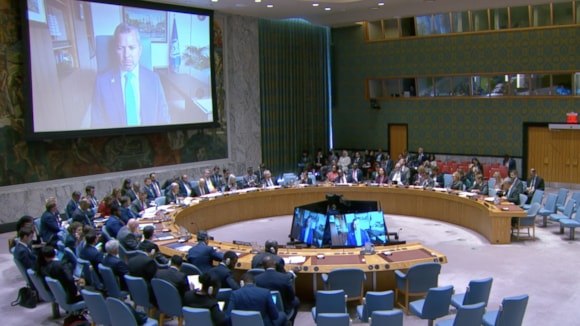 "Freedom of navigation is not negotiable": IMO addresses UN Security Council on maritime safety in the Strait of Hormuz: IMO at UNSC 27 April 2026