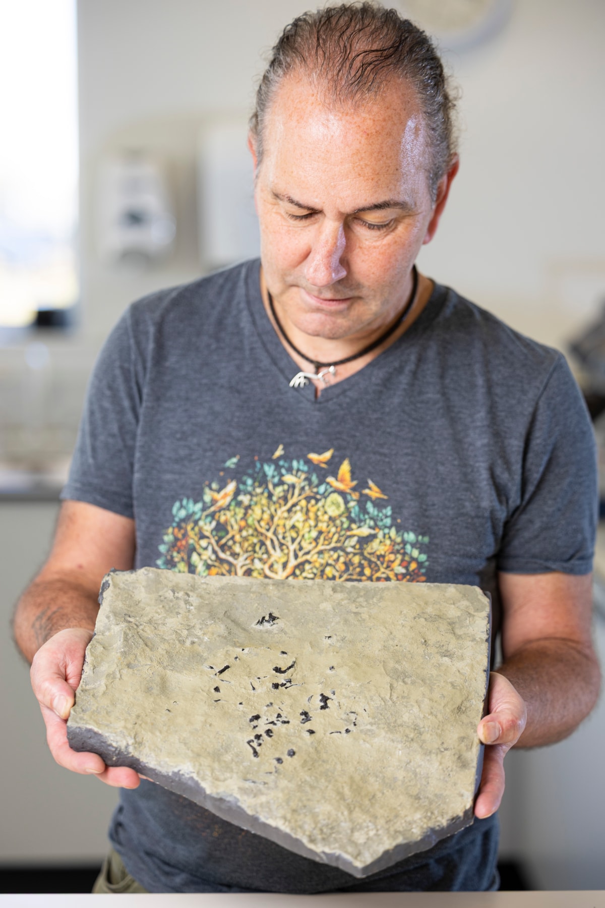 Dr Stig Walsh with a cast of the Breugnathair elgolensis fossil. Image © Duncan McGlynn  (3)