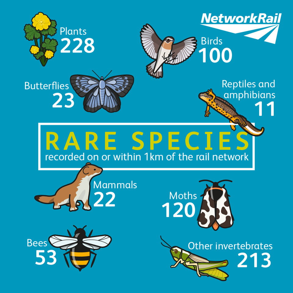 Biodiversity-rare-species-full-01