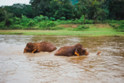 Chiang Mai: Chiang Mai