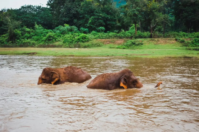 Chiang Mai