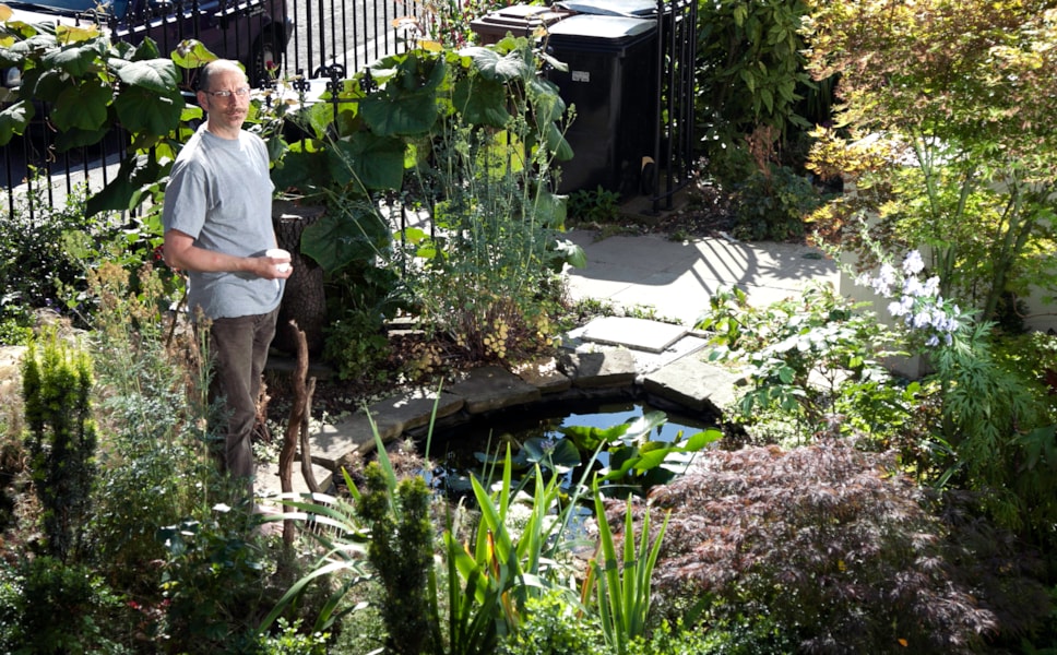Hackney in Bloom