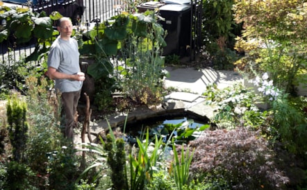Hackney in Bloom