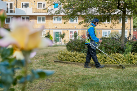 Council estates