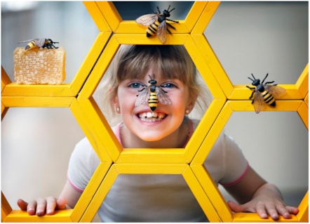 Caela Callander (7) examines geometric honeycomb ahead of Maths Week Scotland 2025. Photo © Paul Dodd 2