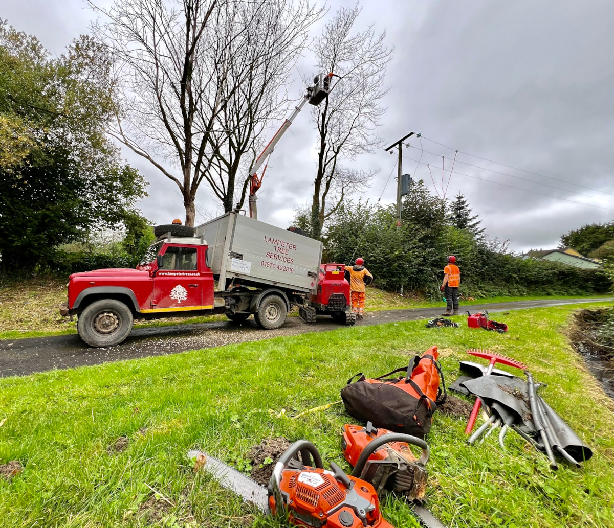 Lampeter Tree Services 4