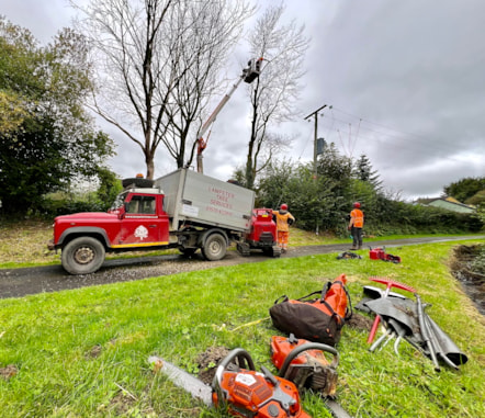 Lampeter Tree Services 4