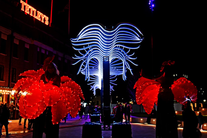 Light Night 2025 - Birds Passing By by Luminariste: Image credit: Graham Fotherby