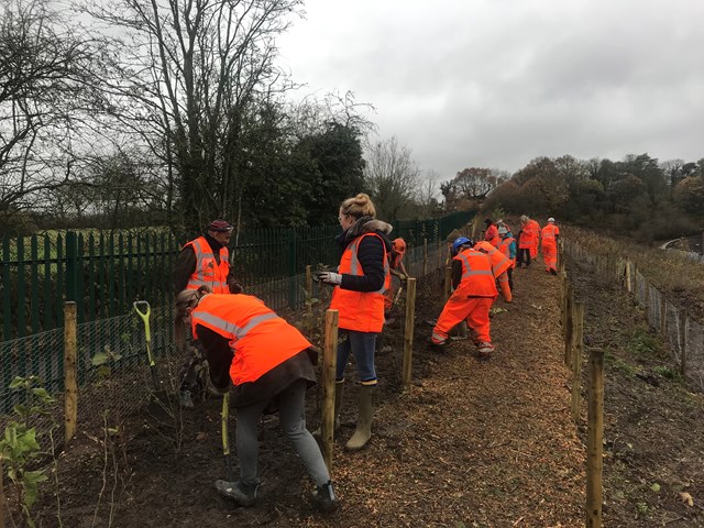 Members of the Hadley Wood community planting trees at Hadley Wood station