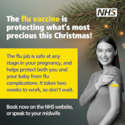 Pregnant Women: Pregnant Women