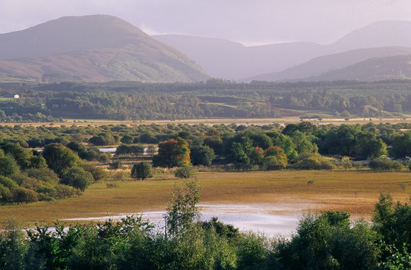 Insh Marshes NNR near Kingussie ©Lorne Gill SNH