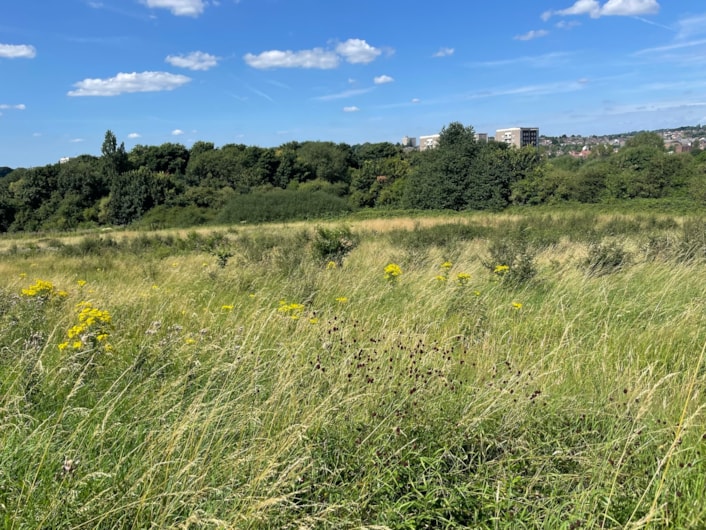 Leeds City Council supports biodiversity improvements on green spaces: Killingbeck Fields