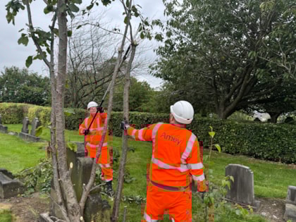Team spirit blooms after helping out in Leeds parks