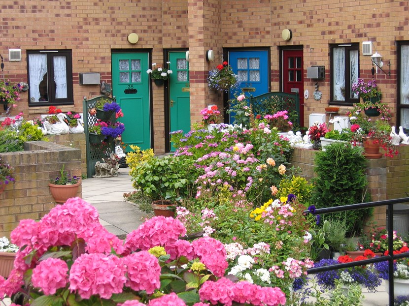 Leeds wows Yorkshire in Bloom judges: inbloom.jpeg