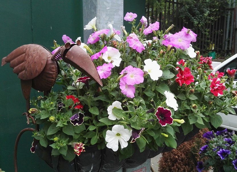 Green-fingered volunteers help Otley recycling site leap to national gardening competition final: otley2.jpg