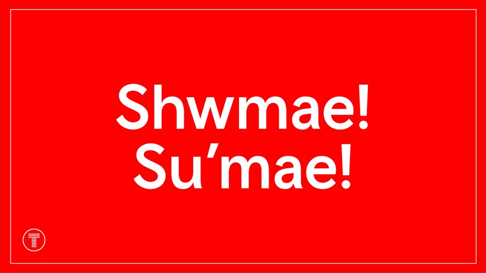 Shwmae beginning frame