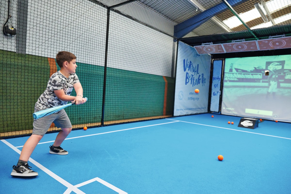 Virtual Batting Pro, Blue Dolphin