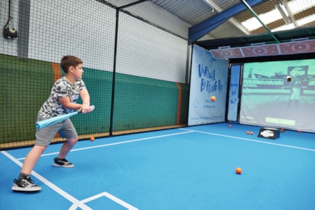 Virtual Batting Pro, Blue Dolphin