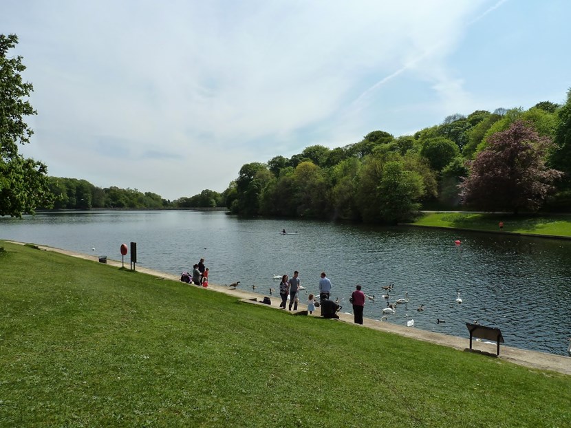 ITU World Triathlon Series stars heading for Leeds: roundhayparklake.jpg