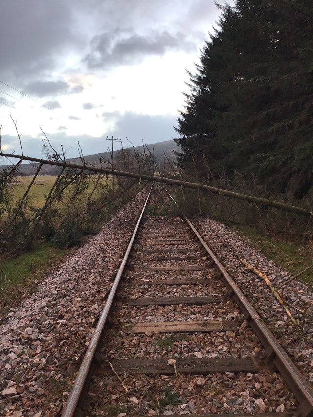 Passenger update: Scotland’s Railway suspends some services for Storm Malik: Tree on line -Tain Jan 29