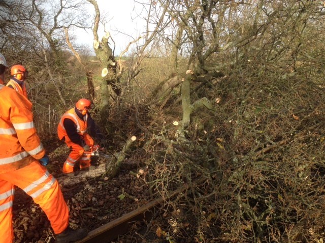 Carpenders Park residents invited to learn more about February railway vegetation: images of tree on line and removal at Warkworth