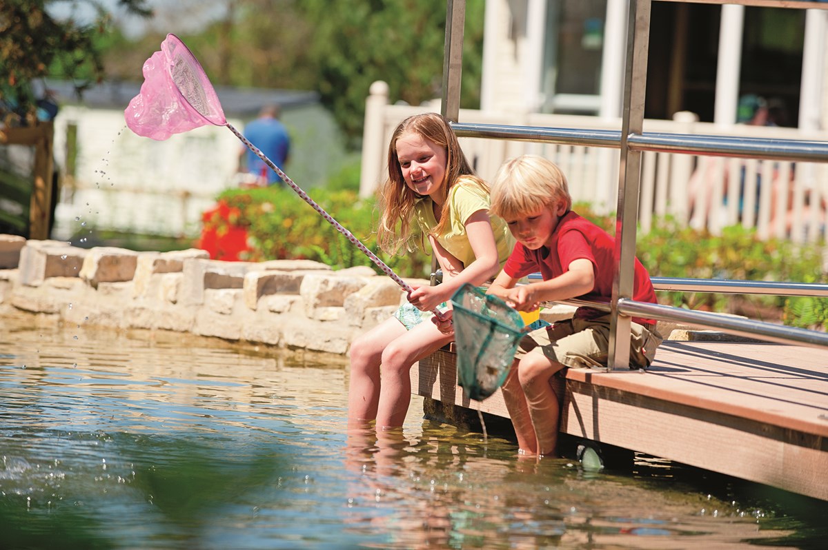 Pond Dipping at Rockley Park