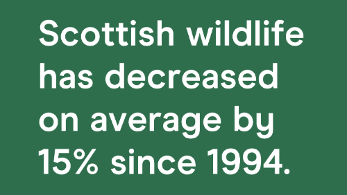 Fact Assets