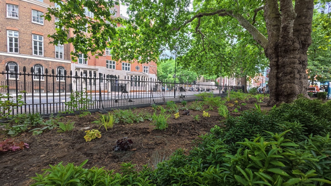 Euston station garden improvements-2
