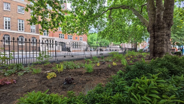 Euston station garden improvements-2: Euston station garden improvements-2