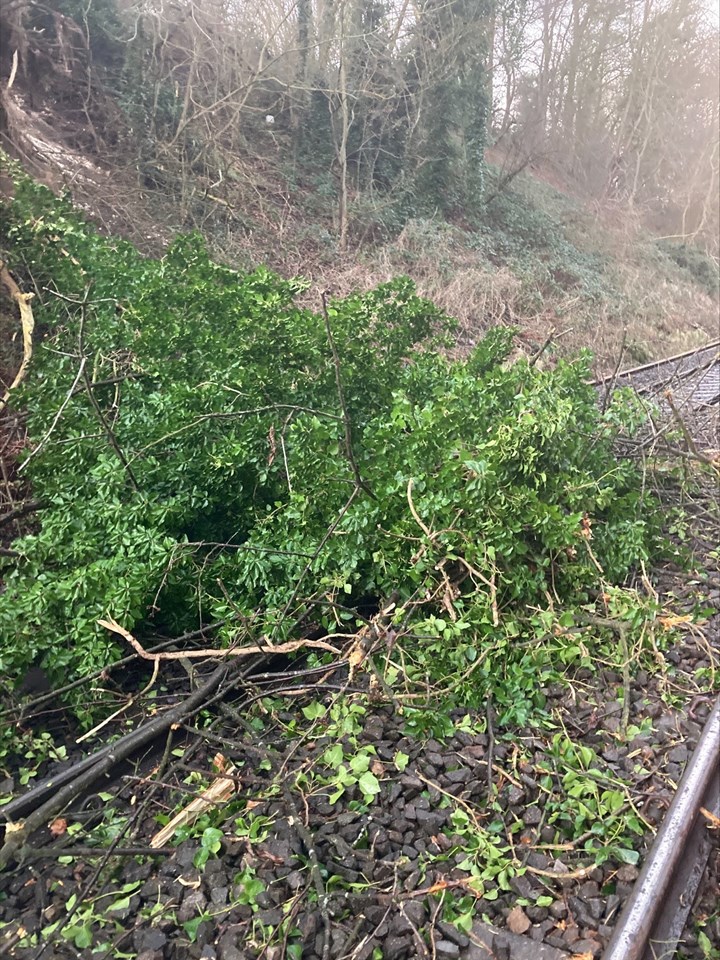 Tree blocking the line at Beaconsfield after Storm Dudley