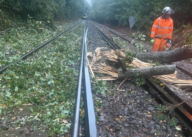 Damaged conductor rail - An engineer removes the remains of a tree struck by a train (in the distance), which has knocked the conductor rail out of place (third rail from the left).: Damaged conductor rail - An engineer removes the remains of a tree struck by a train (in the distance), which has knocked the conductor rail out of place (third rail from the left).
