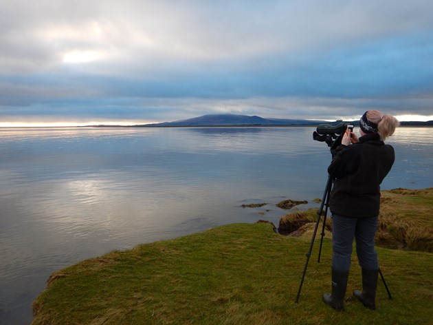 More people flock to South Scotland's national nature reserves in 2020: Caerlaverock National Nature Reserve (2)